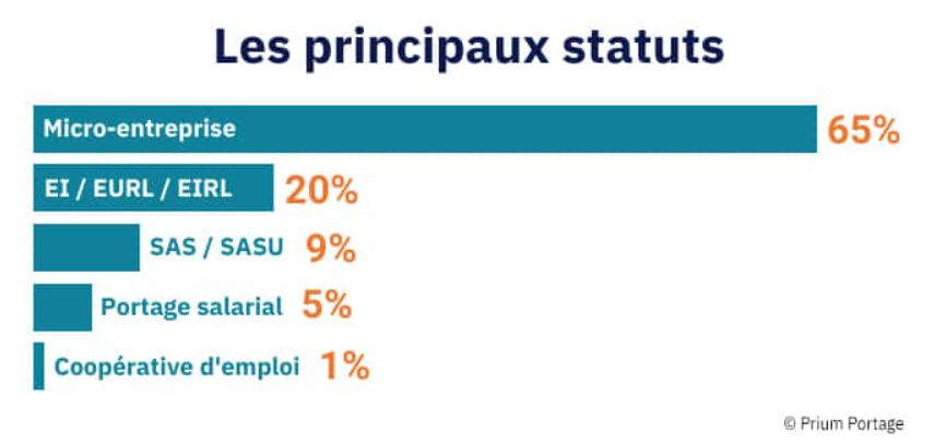 répartition des freelances par statut